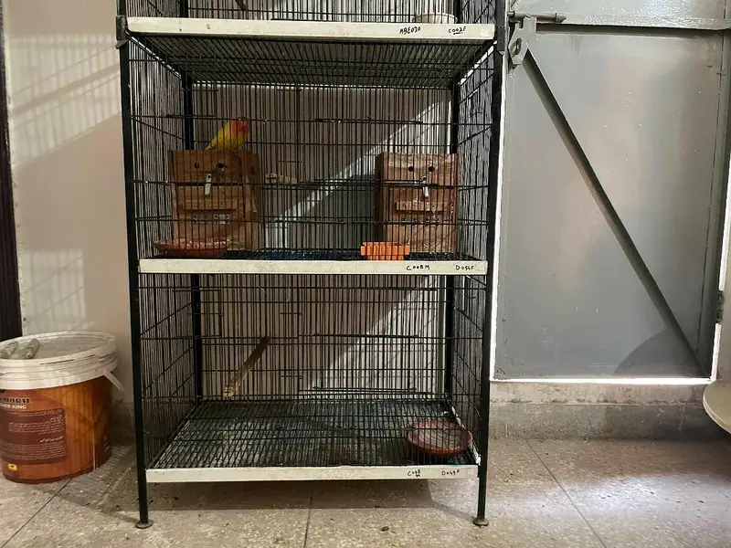 cage for birds — photo 2