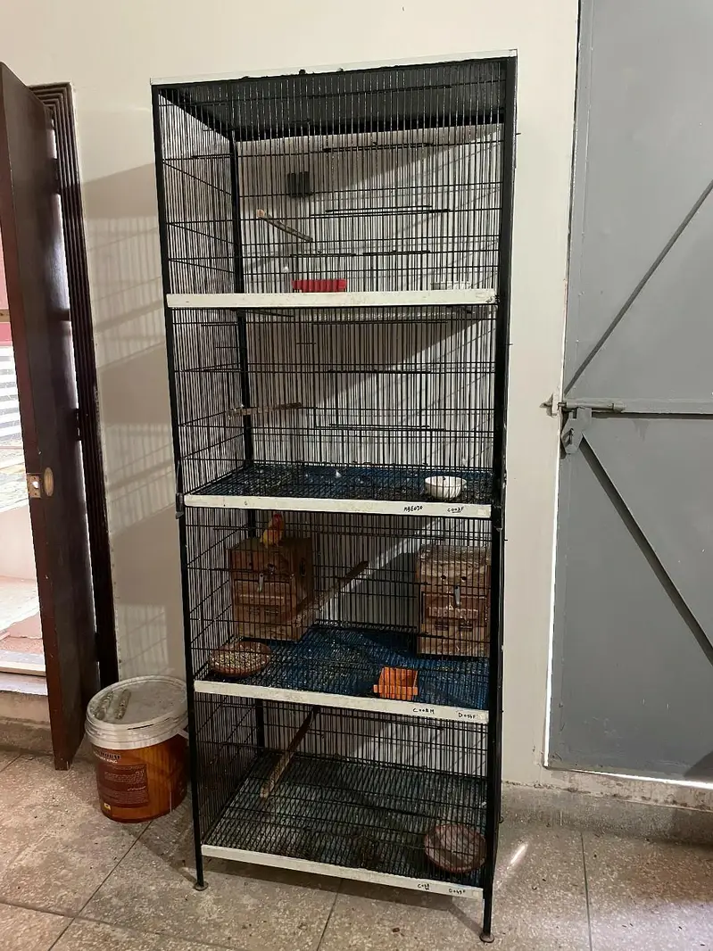 cage for birds — photo 3