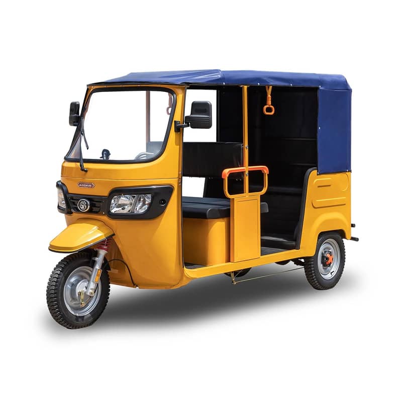 Rikshaw driver 0