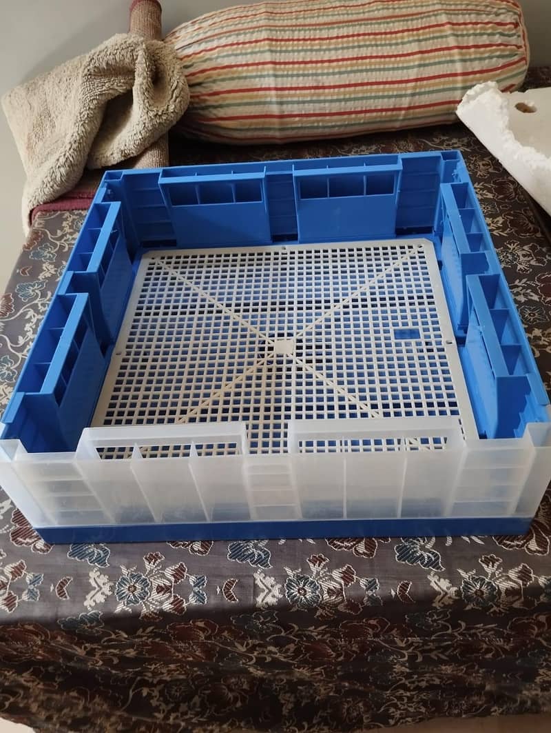 Incubator Automatic 64 eggs 3