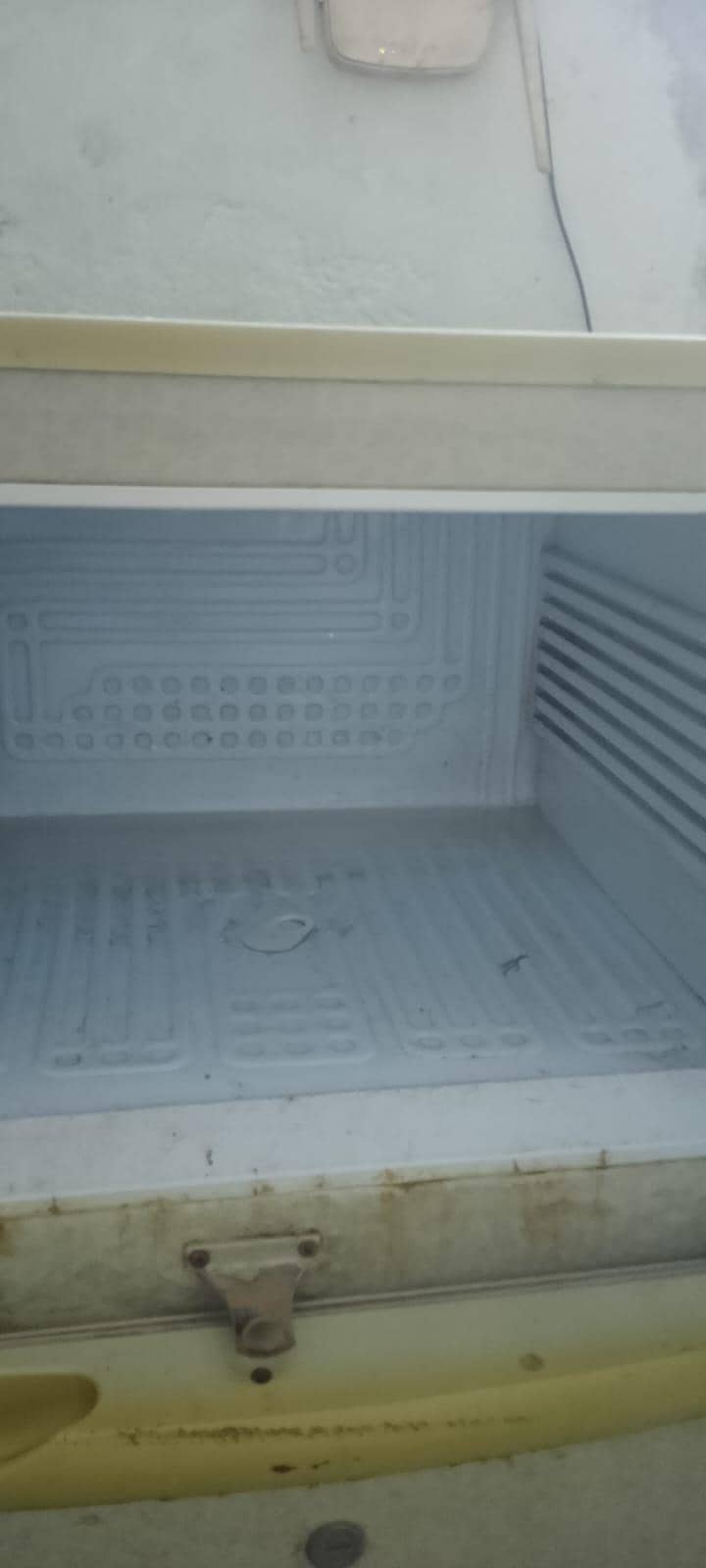 pel medium 4