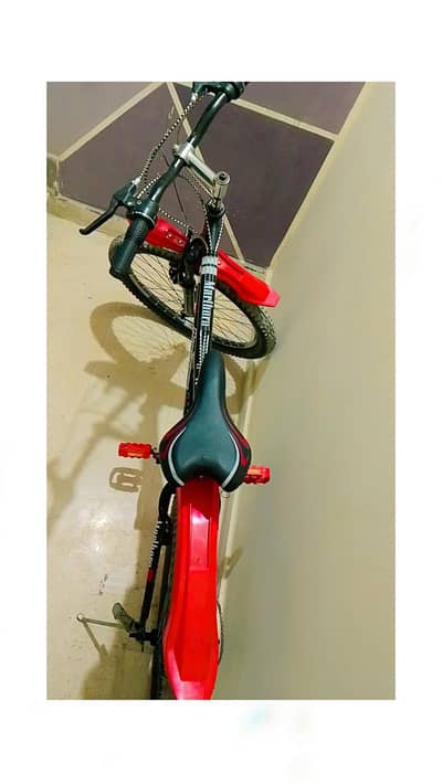 Cycle
