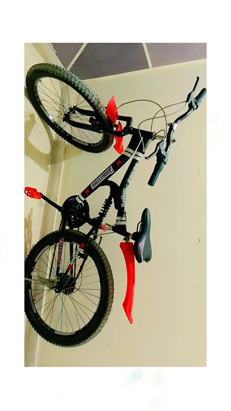 Cycle 1