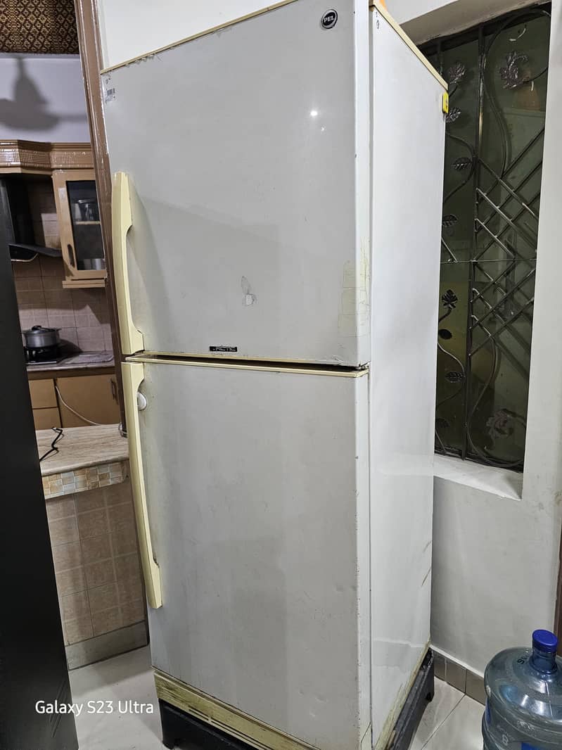 PEL fridge 1