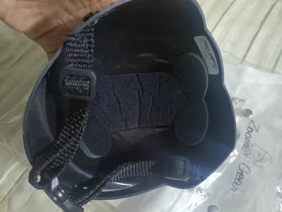 helmet for small dogs and cats