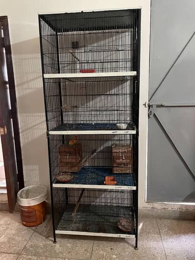 birds cage