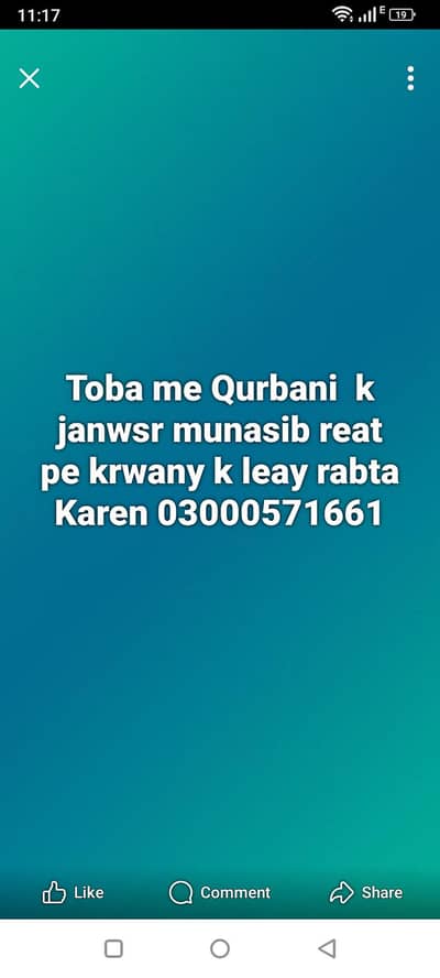 qurbani k janwsr munasib reat pe krwaen