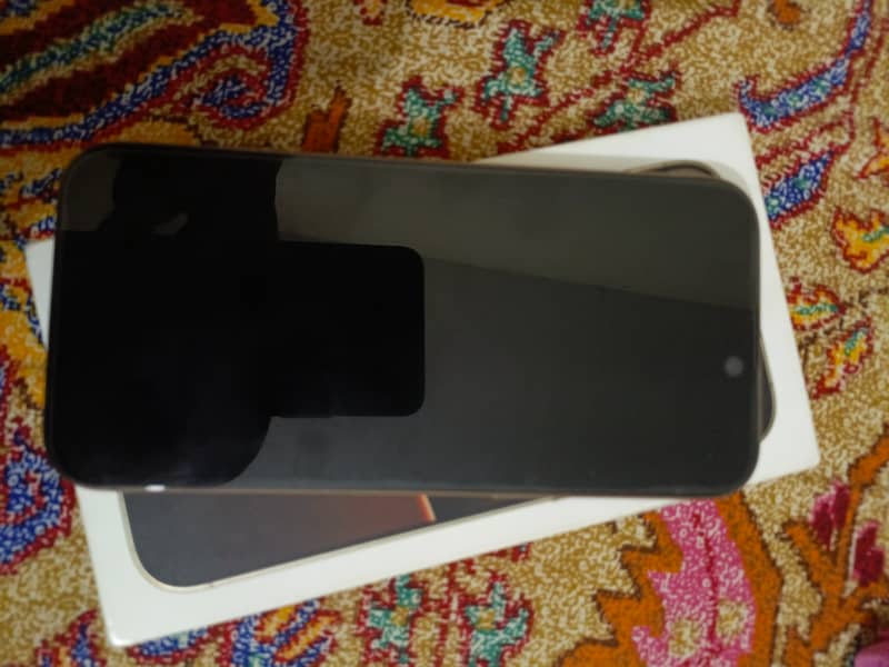 Apple iPhone 16 Pro Max 1