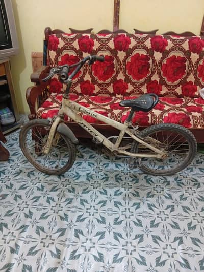 japanese cycle