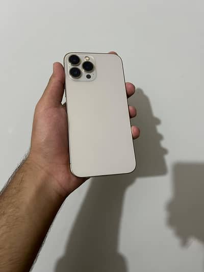 Iphone 13 promax 100 health
