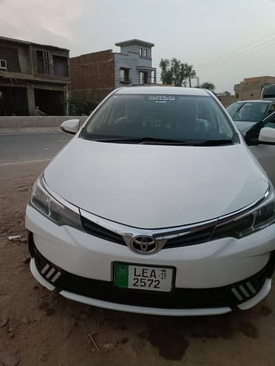 Gli 2019 Manual Super White