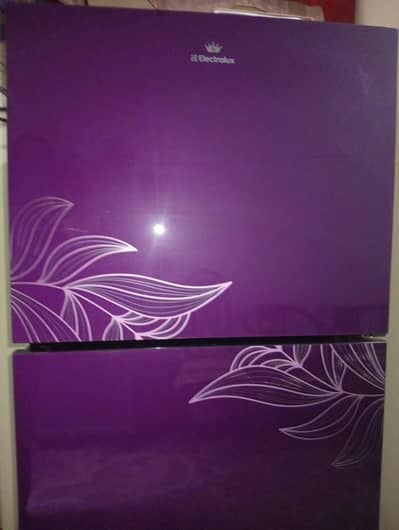 10/10 like new Electrolux fridge for sale