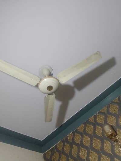 fan for sale