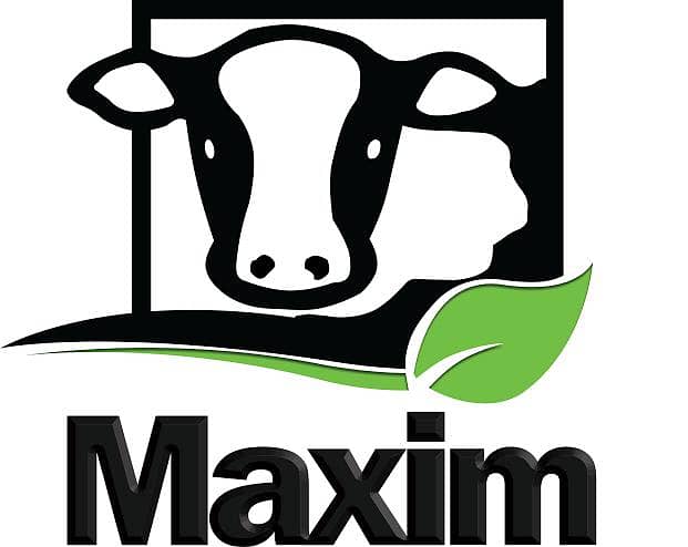Maxim Feed 5