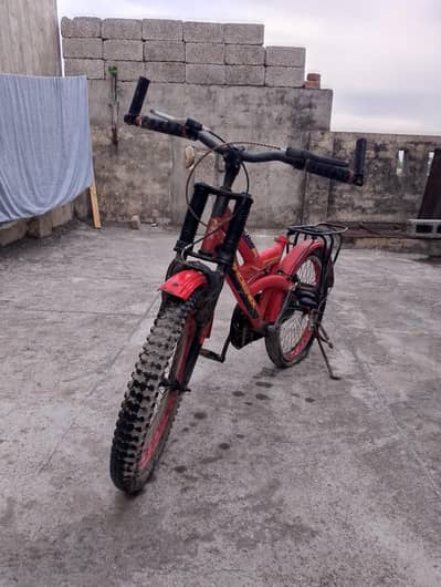 Phoenix Cycle Wheel Size: 22"