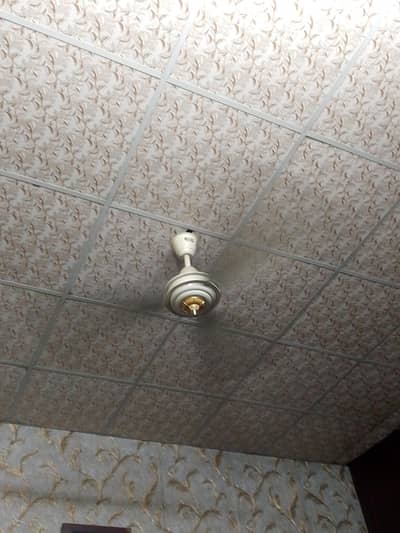 fan for sale