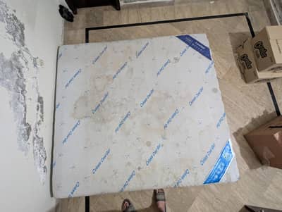 Master Molty foam cool gel matress