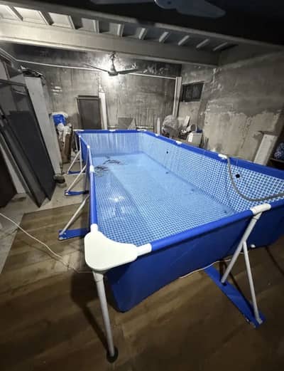 Large Pool, Size 14’ x 7’