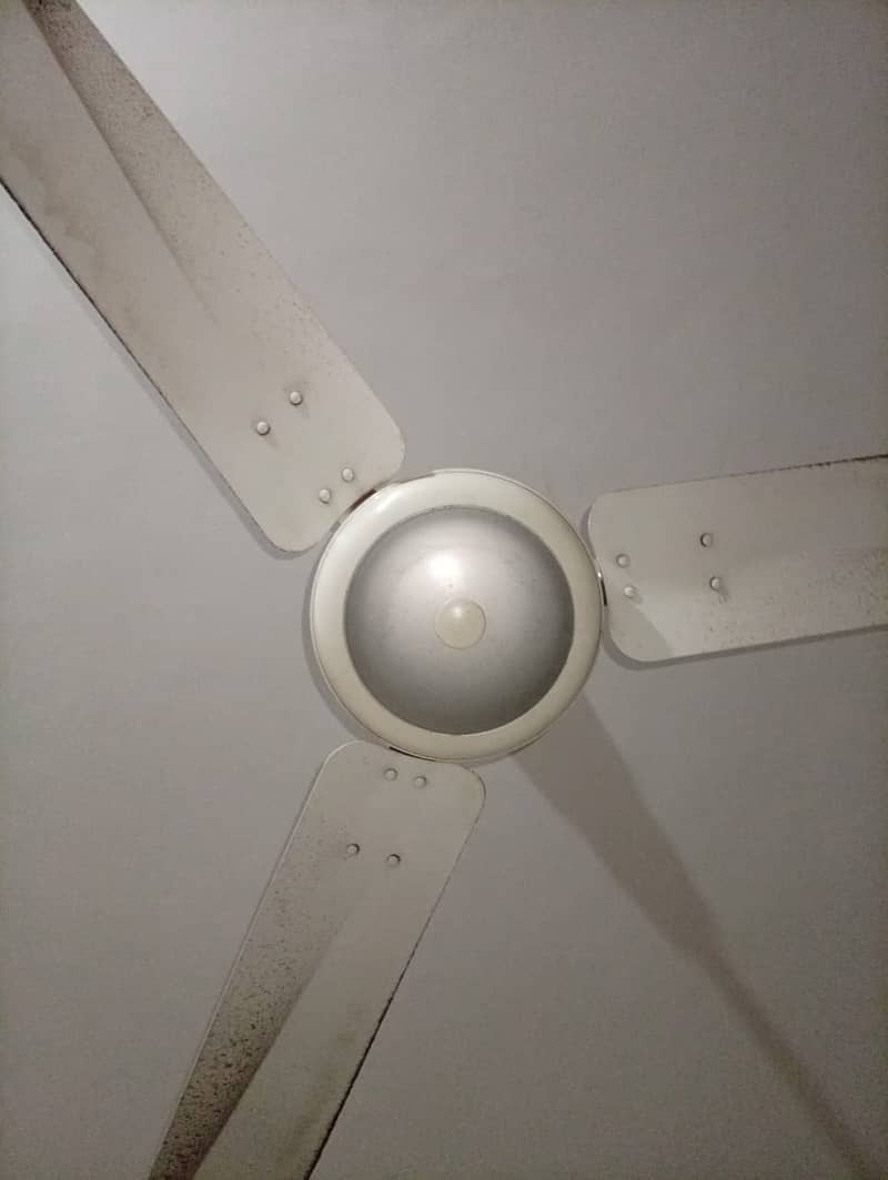 GFC Ceiling Fan 2