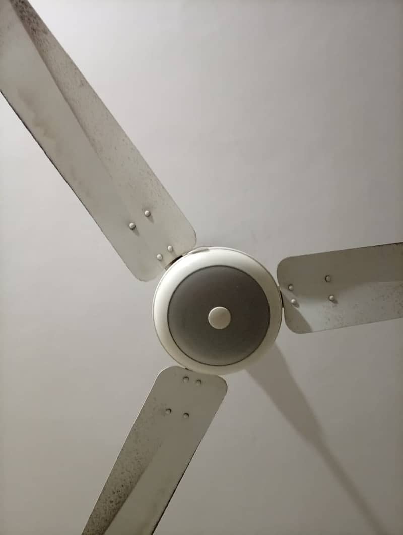 GFC Ceiling Fan 3