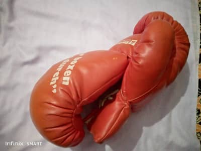 14oz Boxing Gloves – Red Premium Training Gloves for Boxing & Fitness