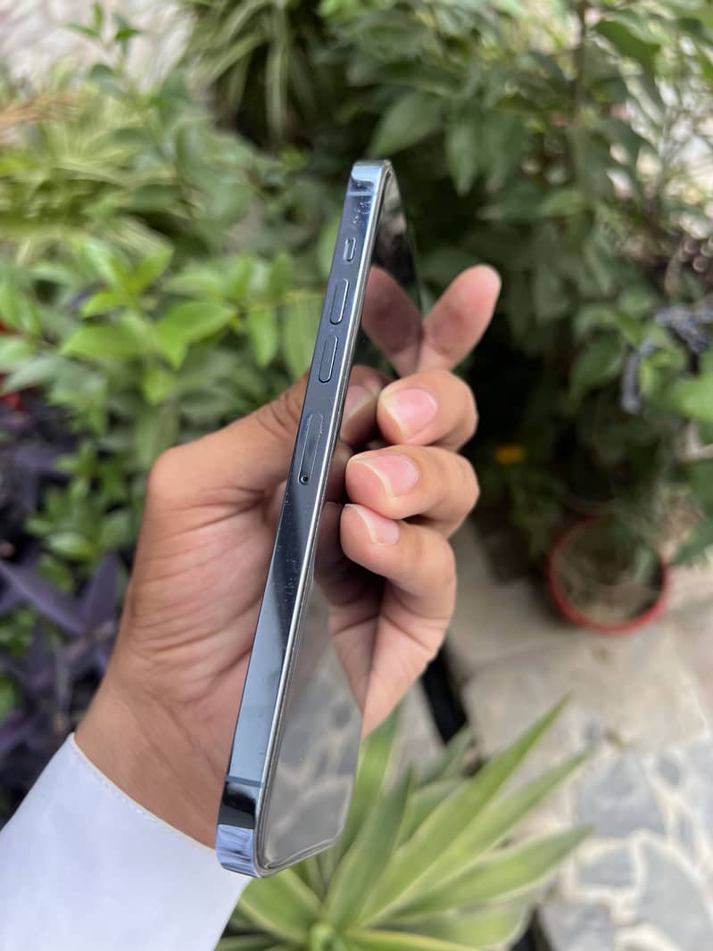 iPhone 13 pro max 1