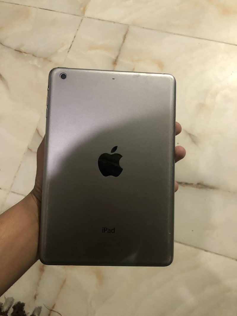 Ipad mini to panel break 2