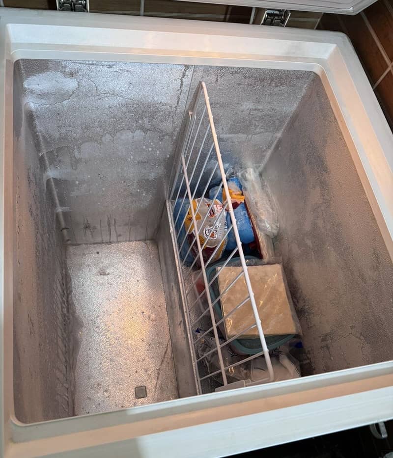 Deep Freezer 6