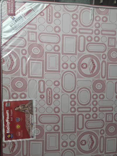 Asli Master molty Foam  8 inch