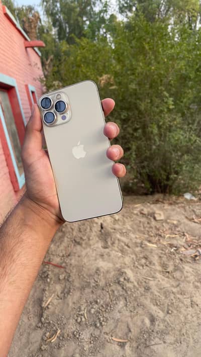 IPHONE 13PM