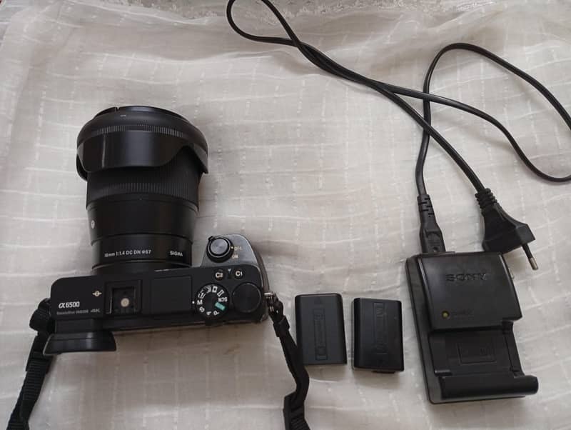 alpha sony 1