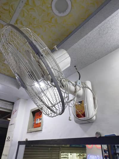 Royal fan