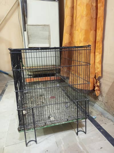 birds cage