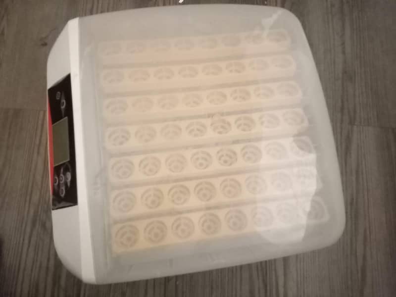 incubator 4