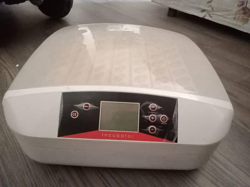 incubator 5