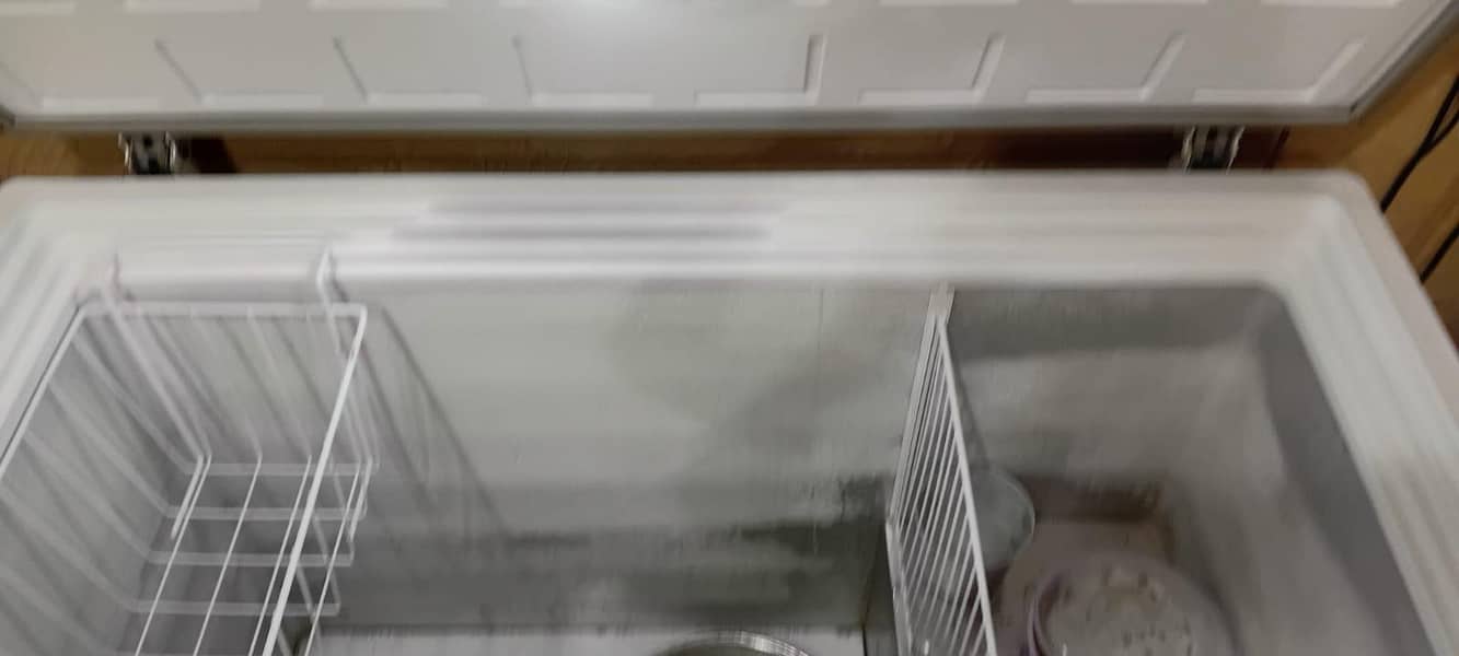 dp freezer 1