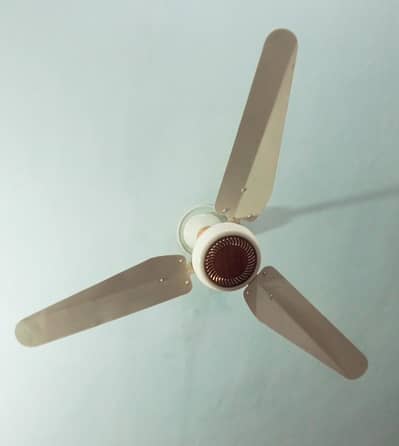 ceiling fan for sale