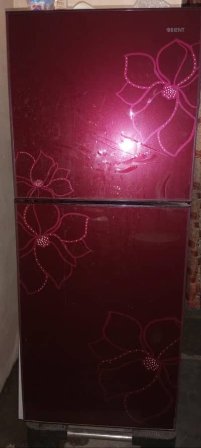 Orient glass door medium fridge