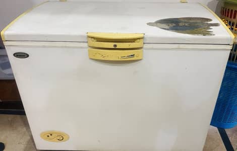 Single Door Deep Freezer