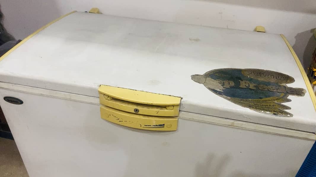 Single Door Deep Freezer 1