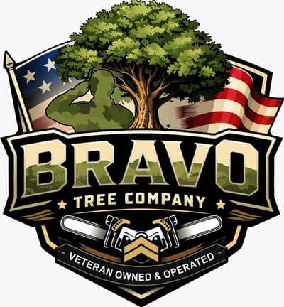 Logo Vectorization & Graphic Design Services (Freelance)