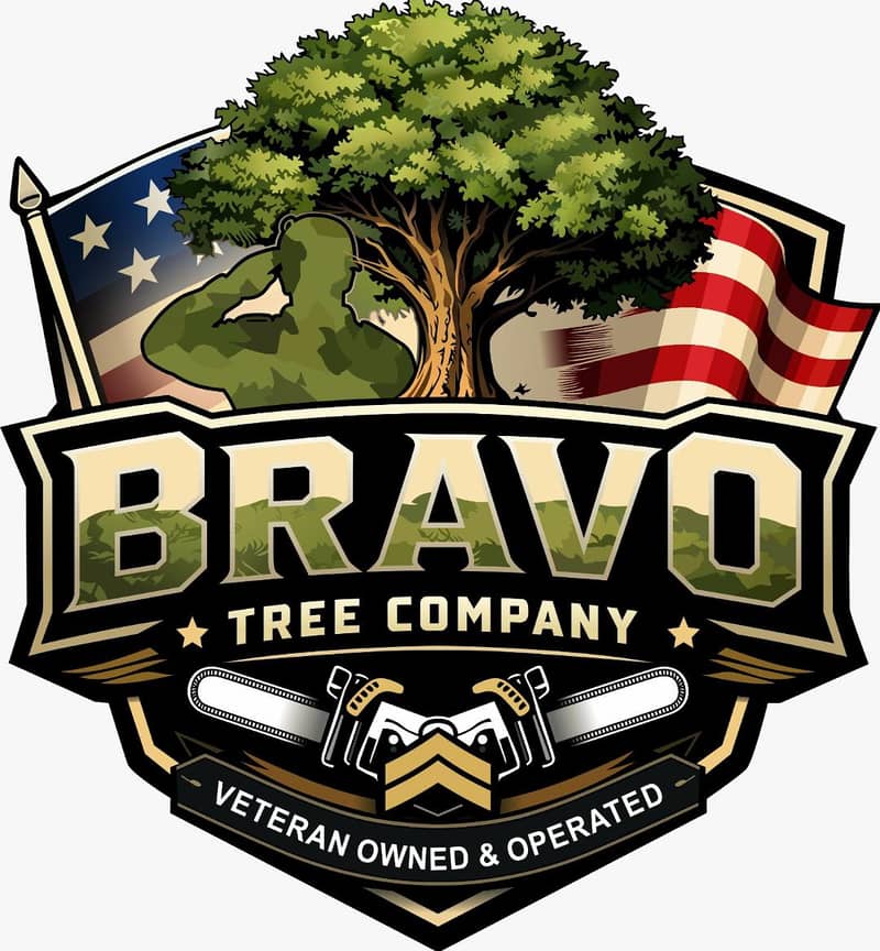 Logo Vectorization & Graphic Design Services (Freelance) 0