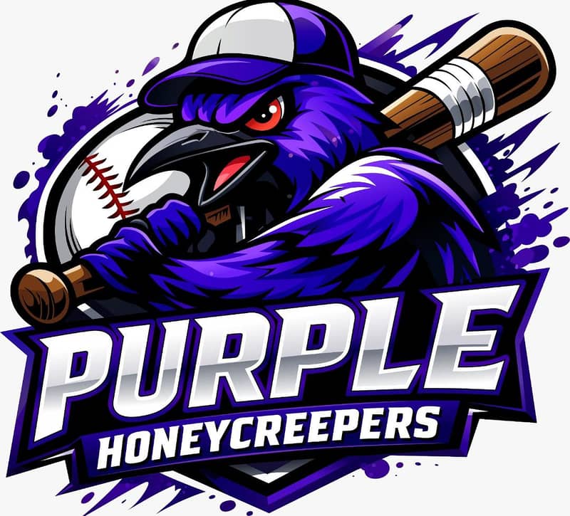 Logo Vectorization & Graphic Design Services (Freelance) 5