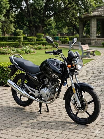 YAMAHA YBR