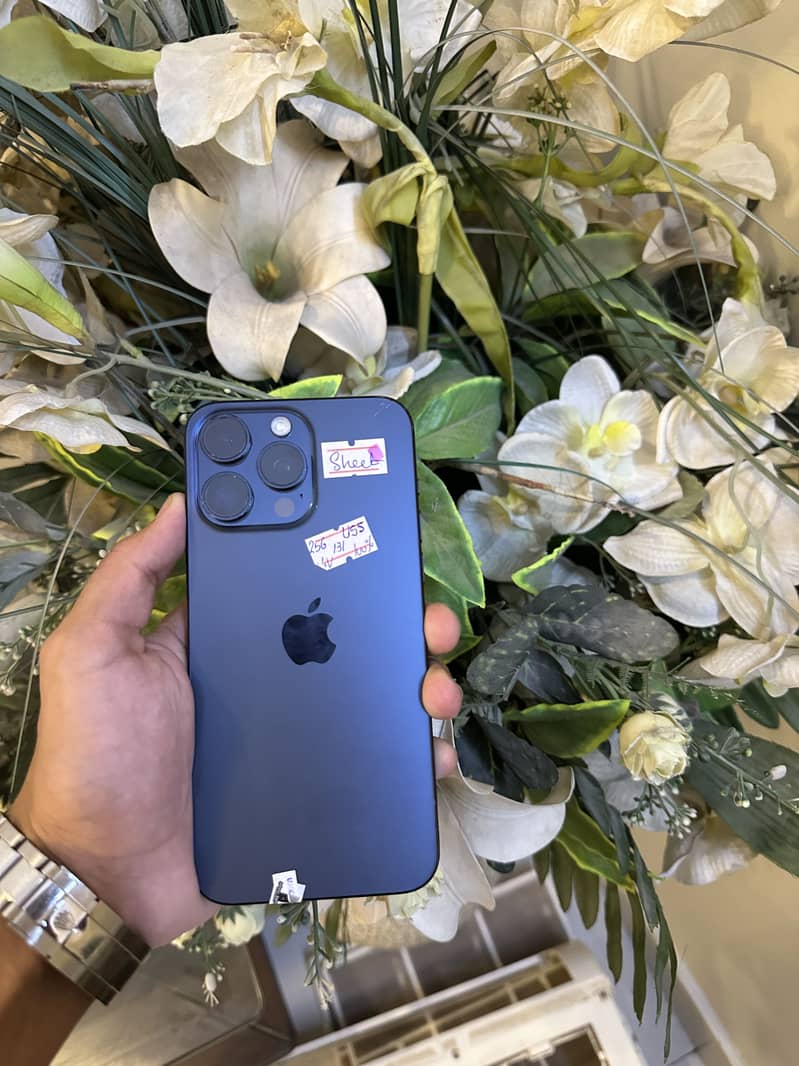 iPhone 15 Pro Max 2