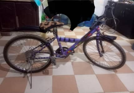 urgent sale cycle