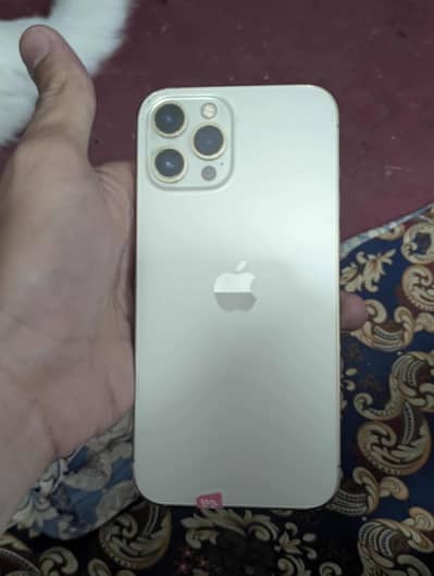 iPhone 12pro max