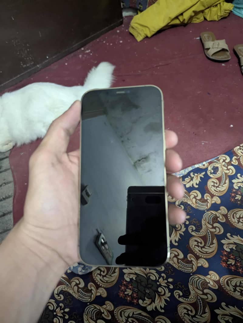 iPhone 12pro max 1