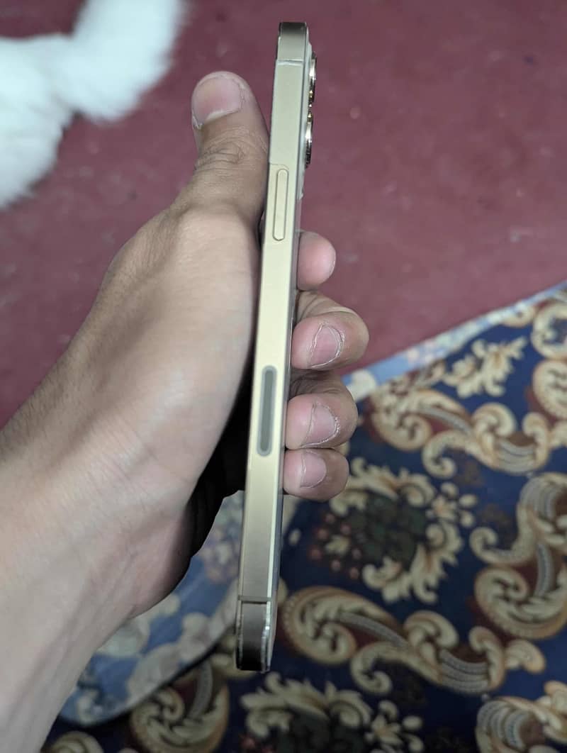 iPhone 12pro max 3