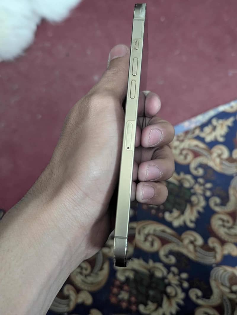 iPhone 12pro max 4